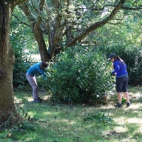 2016-09-11-ickworth-02