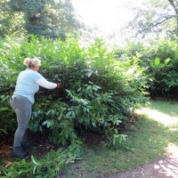 2016-09-11-ickworth-03