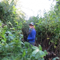 2016-09-11-ickworth-06