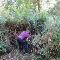 2016-09-11-ickworth-07