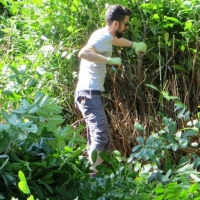 2016-09-11-ickworth-08