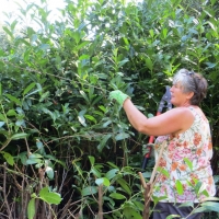 2016-09-11-ickworth-09