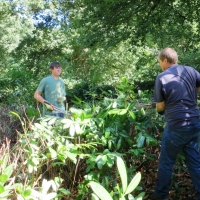 2016-09-11-ickworth-10