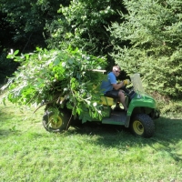 2016-09-11-ickworth-11