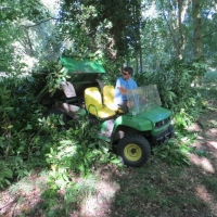 2016-09-11-ickworth-14