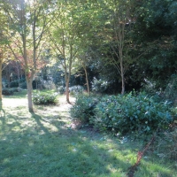 2016-09-11-ickworth-15