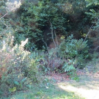 2016-09-11-ickworth-16