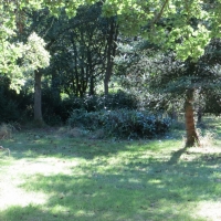 2016-09-11-ickworth-17