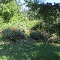 2016-09-11-ickworth-18