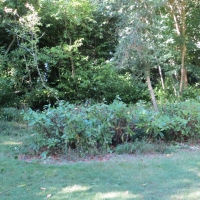 2016-09-11-ickworth-20