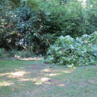 2016-09-11-ickworth-22