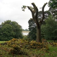 2016-10-09-kyson-hill-01