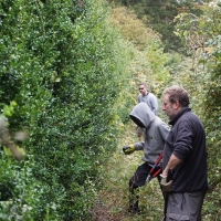 2016-10-23-ickworth-park-10 2016-10-23-ickworth-park-10