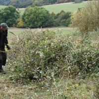2016-10-23-ickworth-park-11 2016-10-23-ickworth-park-11