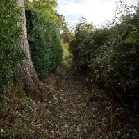 2016-10-23-ickworth-park-16 2016-10-23-ickworth-park-16