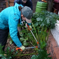 2016-11-20-lavenham-12