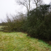 2016-12-18 Dedham Hall Farm 02