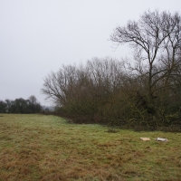 2016-12-18 Dedham Hall Farm 04