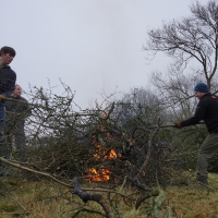 2016-12-18 Dedham Hall Farm 10