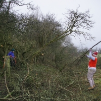 2016-12-18 Dedham Hall Farm 11