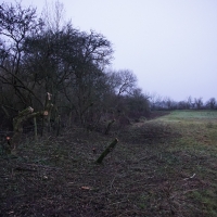 2016-12-18 Dedham Hall Farm 18