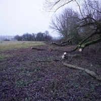 2016-12-18 Dedham Hall Farm 20