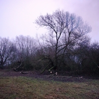 2016-12-18 Dedham Hall Farm 21