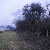 2016-12-18 Dedham Hall Farm 22