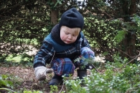 2017-02-26 Melford Hall 10