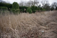 2017-02-26 Melford Hall 2