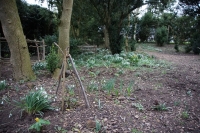 2017-02-26 Melford Hall 22