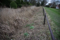 2017-02-26 Melford Hall 23