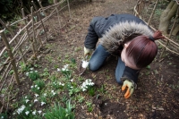 2017-02-26 Melford Hall 5