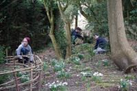 2017-02-26 Melford Hall 8