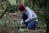 2017-02-26 Melford Hall 9