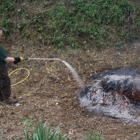 2017-03-26 Melford Hall 9