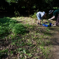2017-04-09 Ickworth Park 02