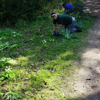 2017-04-09 Ickworth Park 03