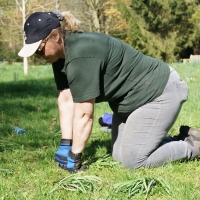 2017-04-09 Ickworth Park 07