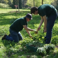 2017-04-09 Ickworth Park 10