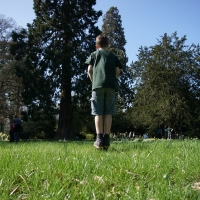 2017-04-09 Ickworth Park 17