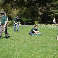 2017-04-09 Ickworth Park 19