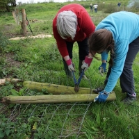 2017-04-23 Dedham Hall Farm 05 2017-04-23 Dedham Hall Farm 05