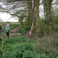 2017-04-23 Dedham Hall Farm 06 2017-04-23 Dedham Hall Farm 06