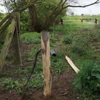 2017-04-23 Dedham Hall Farm 09 2017-04-23 Dedham Hall Farm 09