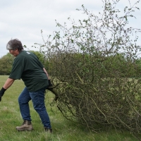 2017-04-23 Dedham Hall Farm 10 2017-04-23 Dedham Hall Farm 10