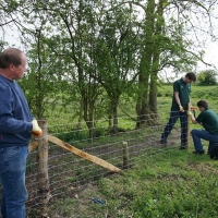 2017-04-23 Dedham Hall Farm 14 2017-04-23 Dedham Hall Farm 14