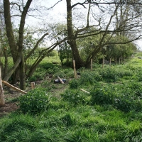 2017-04-23 Dedham Hall Farm 15 2017-04-23 Dedham Hall Farm 15