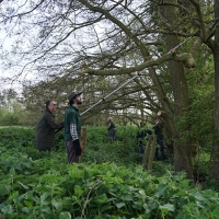 2017-04-23 Dedham Hall Farm 17 2017-04-23 Dedham Hall Farm 17