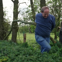 2017-04-23 Dedham Hall Farm 18 2017-04-23 Dedham Hall Farm 18